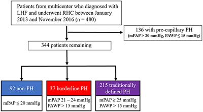 Impact of borderline pulmonary hypertension due to left heart failure on mortality in a multicenter registry study: A 3-year survivorship analysis